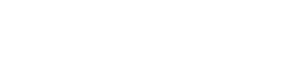 Bikeschule Luzern